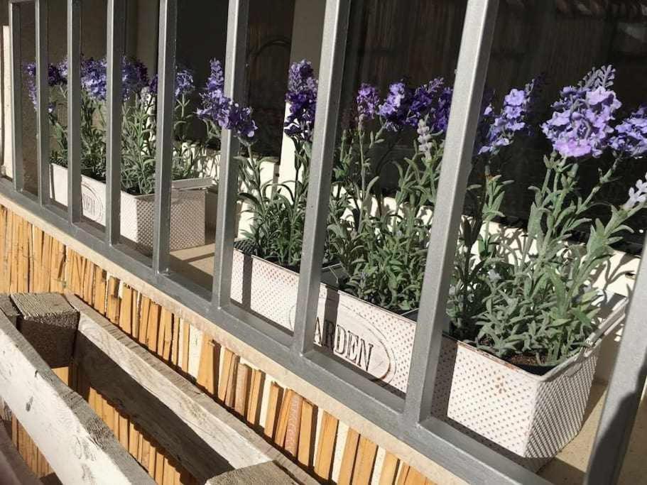 Oak House Oakplacescom León Εξωτερικό φωτογραφία
